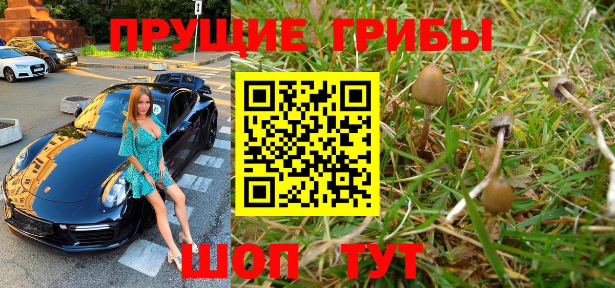 где найти наркотики  Псилоцибиновые грибы MAGIC MUSHROOMS  Вход с VPN  Белая Калитва 